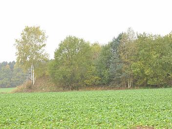 Unter einem aufgeschütteten Hügel bei Wildenheid schlummern Altlasten. Eine Sanierung kann teuer werden. Foto: Rainer Lutz