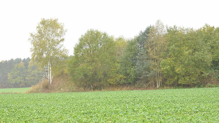 Unter einem aufgeschütteten Hügel bei Wildenheid schlummern Altlasten. Eine Sanierung kann teuer werden. Foto: Rainer Lutz