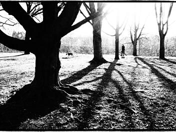 1. Preis in der Kategorie "Licht und Schatten":   Das Adenauerufer in Bamberg fotografiert von  Frank Schlaug