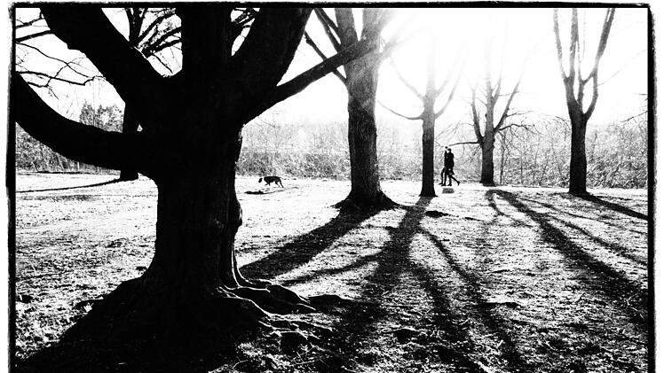 1. Preis in der Kategorie "Licht und Schatten":   Das Adenauerufer in Bamberg fotografiert von  Frank Schlaug