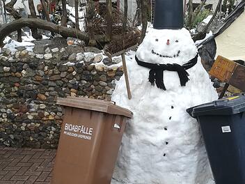 Biotonne im Winter Biotonne im Winter