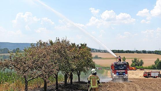 Mit vereinten Kräften bekämpften die Feuerwehren einen Flächenbrand in Hainert (Gemeinde Knetzgau).