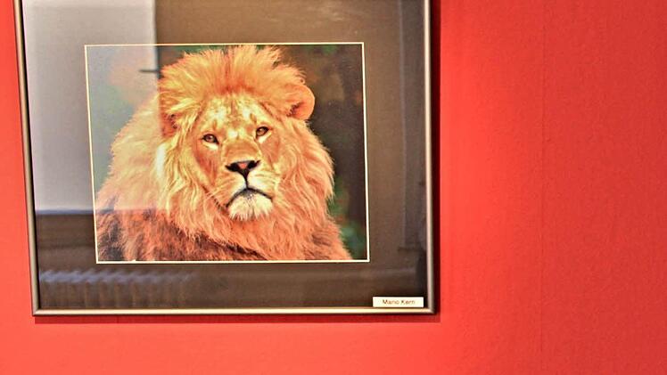 Auch Tieraufnahmen sind in der Schau des Foto-Clubs zu sehen.  Foto: Helmut Will