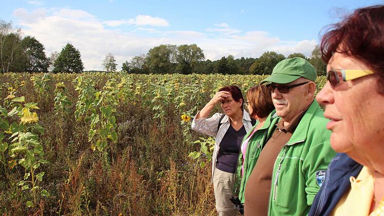 Das Feld im Hintergrund bleibt jahrelang sich selbst überlassen. Foto: Andreas Dorsch