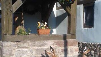 Dorfbrunnen in Untereschenbach  Foto: Dagmar Bayer