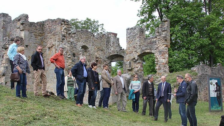 Das nächste Projekt: die Ruine Raueneck im Eberner Stadtbereich zwischen Vorbach und Frickendorf. Foto: Ralf Kestel