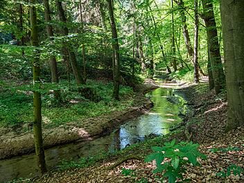 Eckental: Ferienspaß mit der Familie - Welche Freizeitaktivitäten hier angeboten werden