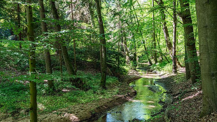 Eckental: Ferienspaß mit der Familie - Welche Freizeitaktivitäten hier angeboten werden