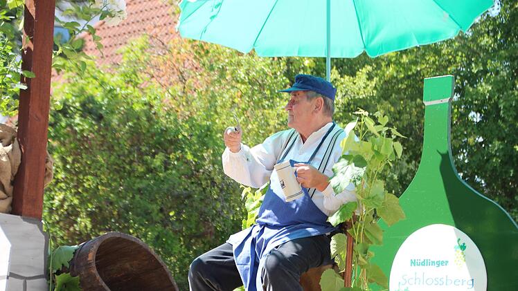 mpression vom Festzug.  Foto: Johannes Schlereth