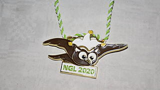 Sitzung der Narrengilde