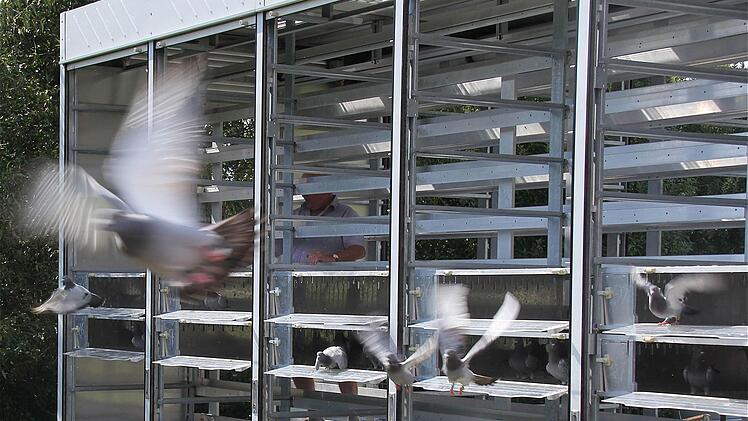Fliegender Start aus dem Lkw