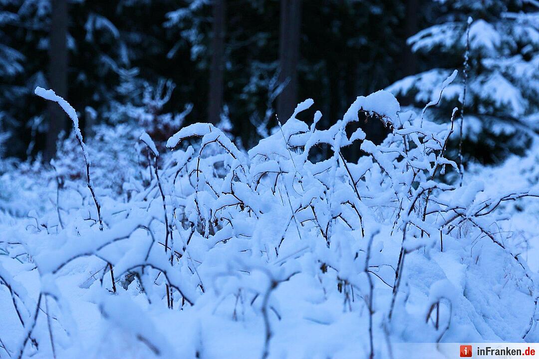 Schnee im Fichtelgebirge