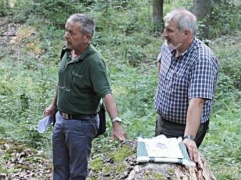 Ein neu durch die Gemeinde angekauftes Waldstück und das "Lehnholz" waren Ziel des Waldganges. An dieser Stelle erläutern Forstoberrat Jürgen Hahn (links) und Forstamtsrat Wolfgang Gnannt den Teilnehmern die ökologischen Aspekte anhand des Stammes im Vordergrund und Gesichtspunkte der Naturverjüngung (Hintergrund).  Foto: Helmut Will
