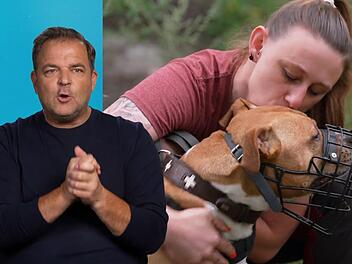 Hundetrainer Martin R&uuml;tter sucht ein Zuhause f&uuml;r Geronimo (11).