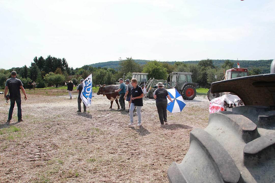 Bad Kissingen: Protest der Milchbauern