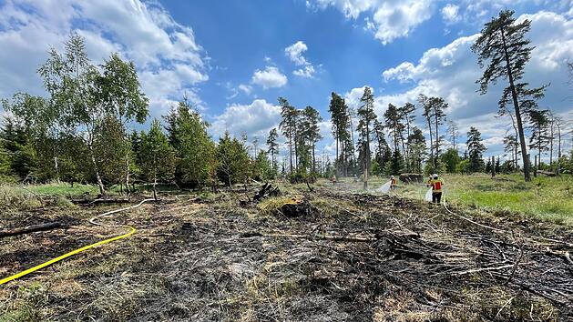 In Wald gegrillt und Feuer verursacht: Polizei ermittelt