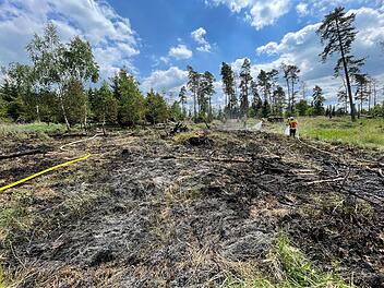 In Wald gegrillt und Feuer verursacht: Polizei ermittelt