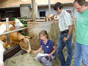 Carina Hollfelder testet die Beschaffenheit des  Heus. Die Prüfer Robby Wachsmann (Mitte)  und Matthias Görl schauen zu.  Foto: Gerda Völk