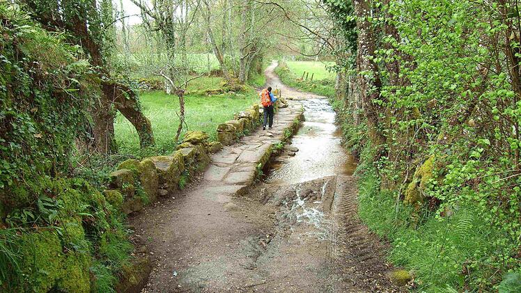 Pilger-Pfad Foto: privat