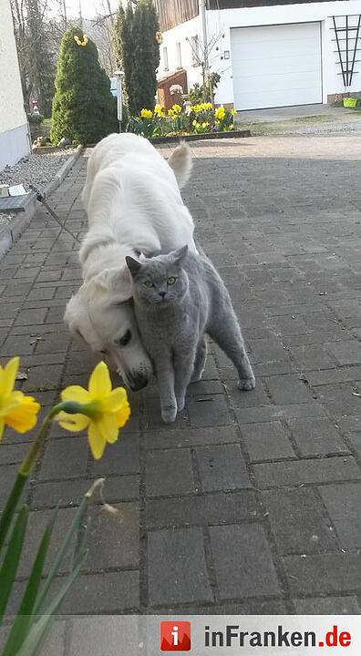 Foto: Nicole Schultheiß