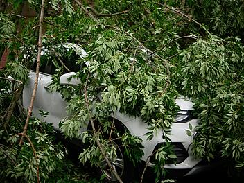 Fahrer in Burgebrach in fremden Garten gerast