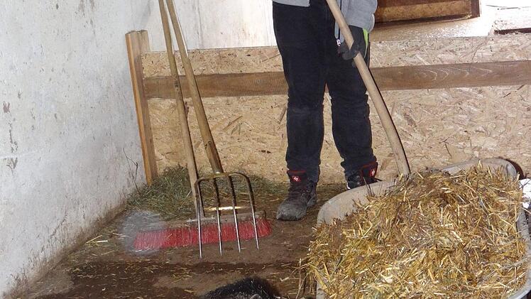 Jonas aus Eichstätt wohnt schon knapp zwei Jahre in der Gemünder Mühle. Er freut sich auf die vielen Besucher, die morgen zum Winterfest mit dem Motto "Schwein gehabt" kommen werden. Foto: Johanne Eckert