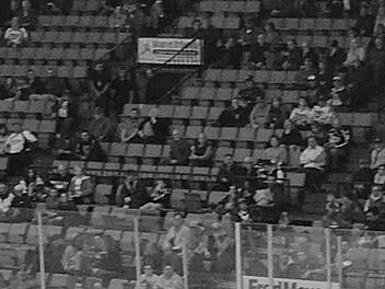 Eishockey, Eishockeystadion
