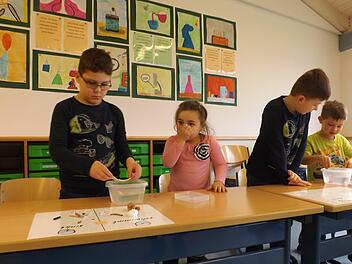 Die Kinder beim ExperimentierenMaria L&ouml;ffler