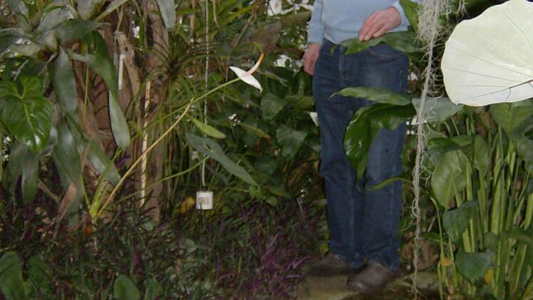 Foto: Petra Malbrich