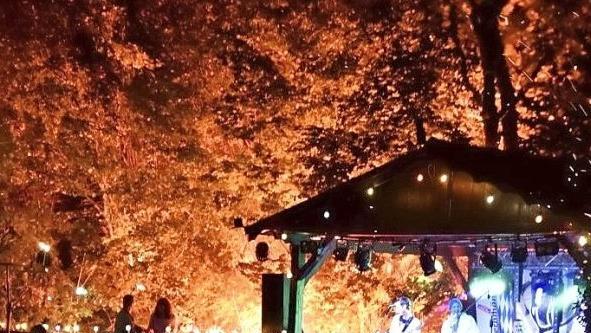 Meister der Illumination sind die Organisatoren des "Tivoli"-Festes in Holzhausen. Bäume und Sträucher werden beleuchtet.