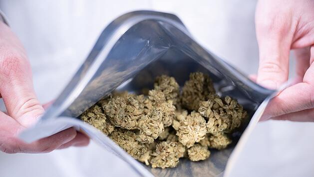 Gro&szlig;er Cannabis-Fund in Adelsdorf
