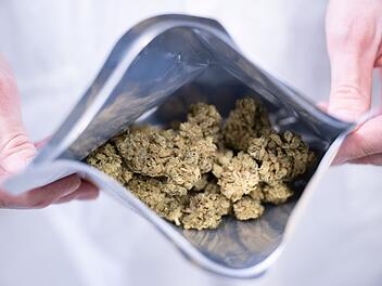 Großer Cannabis-Fund in Adelsdorf