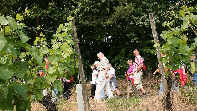 Weinbergwanderung der Saale Zeitung von Wirmsthal nach Wirmsthal 15. Juni 2014