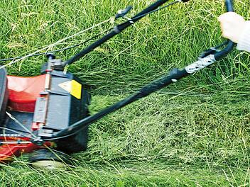 Mäharbeiten am Berliner Ring: Verkehrsbehinderungen in Bamberg