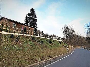 Frisches Grün: An der Fahrbahnverbreiterung der St2182 bei Fölschnitz wurden Setzlinge gepflanzt. Der 160 Meter lange überarbeitete Streckenabschnitt kostete 180000 Euro.