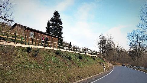 Frisches Grün: An der Fahrbahnverbreiterung der St2182 bei Fölschnitz wurden Setzlinge gepflanzt. Der 160 Meter lange überarbeitete Streckenabschnitt kostete 180000 Euro.