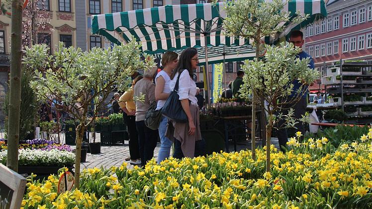 Im Zweifel: Blumen gehen immer. Foto: Simone Bastian