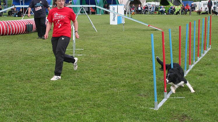 Hundeslalom: Herrchen oder Frauchen ist immer dabei.