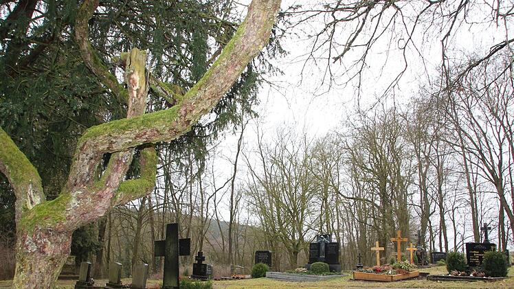 Der Friedhof in Brünn böte nach Ansicht des Bürgermeisters die Chance für naturnahe Beerdigungen.Eckehard Kiesewetter
