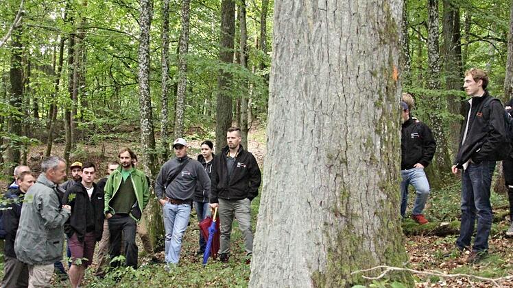 Ideal für Schreiner ist die Traubeneiche. Mit Förster Wolfgang Gnannt (vorn links) erarbeiten die jungen Schreiner die Qualitätsmerkmale und die möglichen Verwendungen eines Stamms.