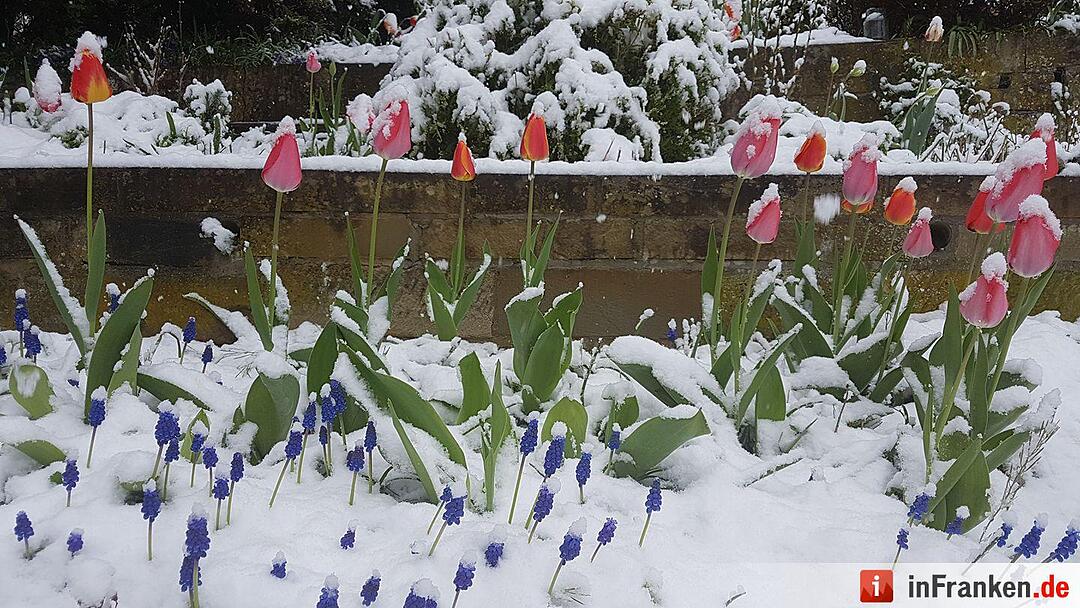 Franken: Ostermontag versinkt im Schnee