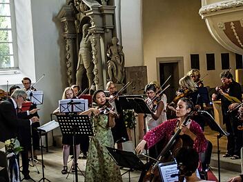 Das Collegium musicum und hervorragende Solisten überzeugten bei der Ahorner Serenade in der Schlosskirche. Foto: Jochen Berger