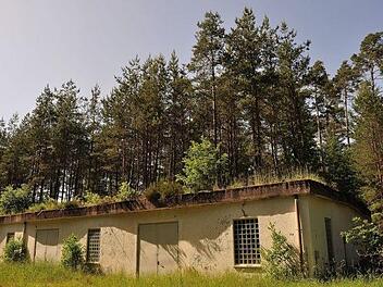 Wald auf Bunkern gibt es auf dem früheren Muna-Gelände. Über das dort geplantes Gewerbegebiet will die Stadt informieren. Foto: Martin Bücker