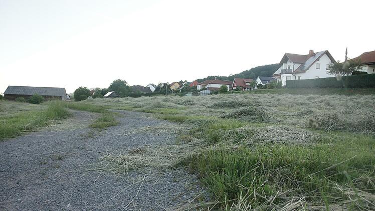 Derzeit wird die Fläche am Bergfeld noch landwirtschaftlich genutzt. Foto: Steffen Standke