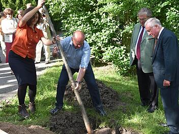 Heike Heß und Siegfried Wiedenmann pflanzten anlässlich des 40. Geburtstag der BN-Kreisgruppe Coburg eine Jubiläumslinde in den Hofgarten, rechts daneben der Bundesvorsitzende Professor Hubert Weiger und Wilhelm Stadelmann. Foto: Gabi Arnold