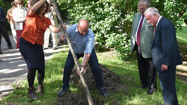 Heike Heß und Siegfried Wiedenmann pflanzten anlässlich des 40. Geburtstag der BN-Kreisgruppe Coburg eine Jubiläumslinde in den Hofgarten, rechts daneben der Bundesvorsitzende Professor Hubert Weiger und Wilhelm Stadelmann. Foto: Gabi Arnold