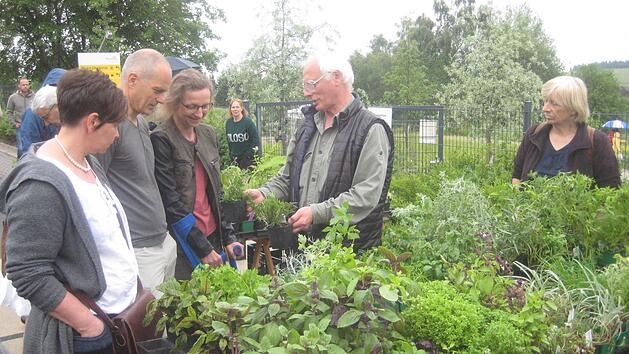 Die Kr&auml;uter standen im Mittelpunkt beim Arnikafest in Teuschnitz. Paul Hader
