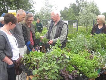Die Kr&auml;uter standen im Mittelpunkt beim Arnikafest in Teuschnitz. Paul Hader
