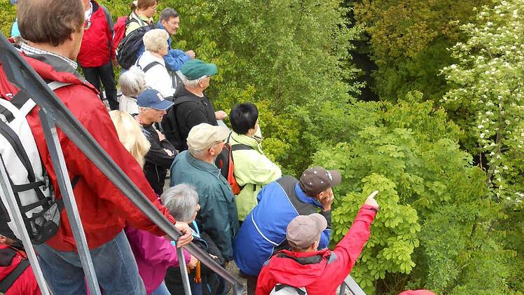 Die Wanderer auf dem Patersberg-Turm.