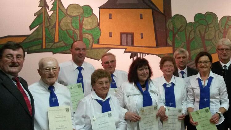 Die Geehrten. Unser Bild zeigt (von links) Harald Dietzel, Hans Goller, Robert Fürst, Rosa Stenzel, Josef Burger, Monika Kraus, Lucia Querfeld, Bernhard Kraus, Elisabeth Klier und Reiner Meisel.